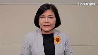 雲林縣議長涉光電弊案　張麗善：尊重司法