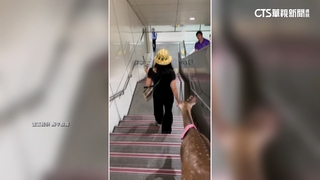 北捷通道有鹿！　未牽繩惹議　飼主：將更注意