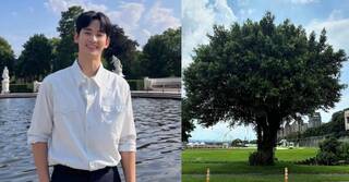 「金秀賢樹」找到了！台北新打卡地誕生 網笑：出發打卡了