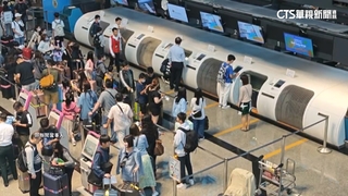 疑詐600萬！女揪暑期團遊紐西蘭　收費後失聯