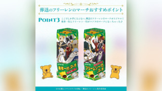 芙莉熊是你！？日本樂天小熊餅乾聯名《葬送的芙莉蓮》　台網友敲碗：支持全聯上架