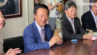 好吃又營養！　日本中學營養午餐首見嘉義鳳梨