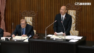 太上委員會？　綠批「立委赴中納管」退11次　藍駁斥