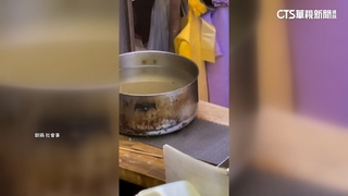 關東煮攤「蟑螂到處爬」衛生局稽查　業者：每日消毒