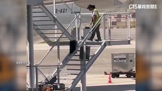 香港地勤搬行李「連6摔」　國泰航空：已調離現職