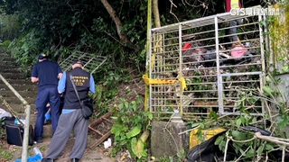 信義區驚見頭骨！男曾通報走失　死者疑為失智母