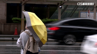 颱風假非「法定假期」　勞工可行使「退避權」不出勤