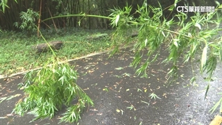 強颱凱米逼近　北市大屯山颳13級強陣風