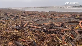 漂流木阻塞「大溪.梗枋」漁港　出航受阻漁民憂生計
