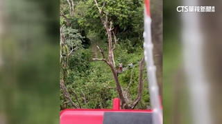 凱米颱風成大考古隊失聯　空勤總隊尋獲4人均安