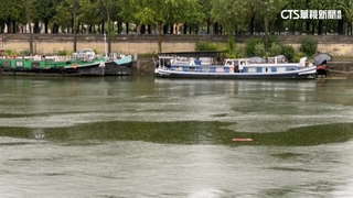奧運鐵人三項訓練喊卡！　連日降雨污染塞納河