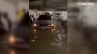 颱風泡水車大軍來襲　！　二手車行情價大揭密