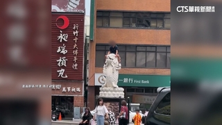 城隍廟龍鯉遭惡搞！男當坐騎　警：已觸法要罰