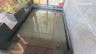 民眾控主管嘲笑跌落造景池婦人　飯店：誤會