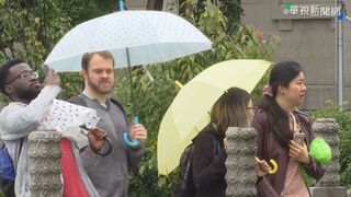 低壓逐漸靠近！嘉義以南防午後雷雨 12縣市亮高溫燈號