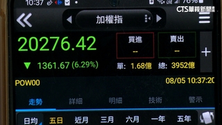 台股盤中一度失守2萬點　逾300家公司一度跌停