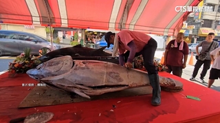 嘉義城隍廟開香普度　黑鮪魚.祥龍供品超霸氣