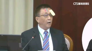 憲法法庭辯論　學者「便利貼黏額頭」演示重大瑕疵