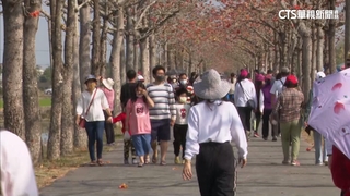 林初埤木棉道女子路跑　遭男騎士攔路強吻性騷