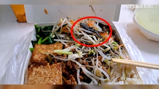 115元便當驚見壁虎？　店家：是青蛙　衛生局稽查