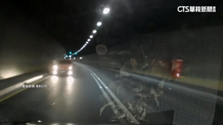 八卦山隧道遇車大逆向！　目擊駕駛嚇「跨線急閃」