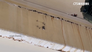 球迷遭石塊砸頭！疑鏽蝕剝落　球團歉：加強巡檢