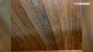 客控台南網美民宿潮濕發霉　業者：疑抽風機故障