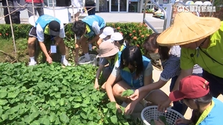 農業部推「農村綠照計畫」　關懷社區高齡長輩