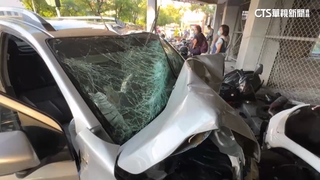 成大女職員駕車衝校門畫面曝　女騎士接童慘死