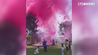 性別趴失控！　親子餐廳粉塵四散　客人驚恐逃