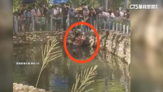 遊客餵河馬吃洋芋片　職員接投訴竟回「罵過河馬」