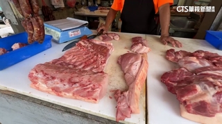 豬肉好貴！天熱加颱風肉豬瘦　北部每公斤破百元