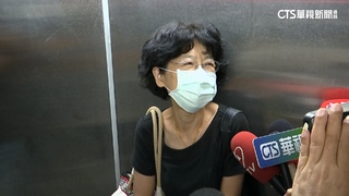 駁斥「人頭公司」　陳佩琪改口：是兒子出資開公司