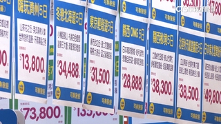 旅展祭優惠！越南買1送1　香港機+酒2999起跳