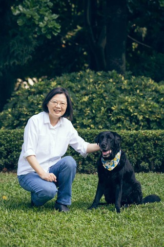 蔡英文愛犬「Maru」離世　感性喊話：我會一直記得你！