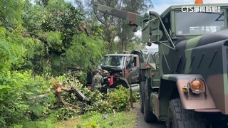 軍用卡車自撞路樹　疑「駕駛沒看路」肇事
