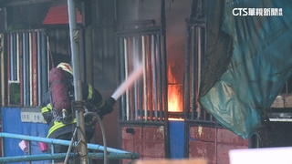 板橋知名馬場清晨火　明星馬「王子」葬身火窟