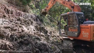 凱米襲擊！阿里山林鐵116處土石崩落　估月底搶通