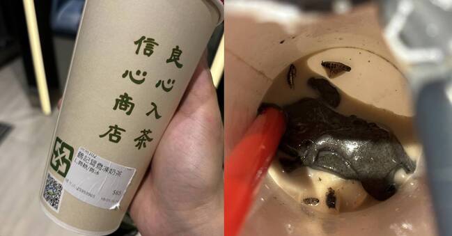 遭爆芝麻凍飲「咬到爆漿蟑螂」 鶴茶樓緊急道歉 | 華視新聞