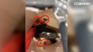 喝手搖飲「咬到爆漿蟑螂」！業者道歉：已全面清消