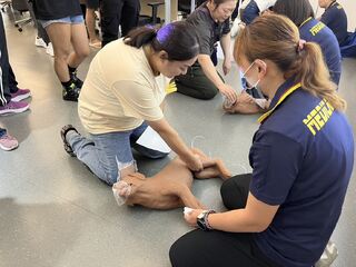 鬆獅犬美容洗澡「突癱軟漏尿」不治亡　寵物CPR步驟曝