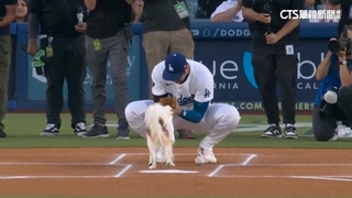 「谷+愛犬」公仔日主場大爆滿　大谷開轟慶祝！