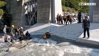 沿知本溪河床生態調查　男落水卡石縫溺斃