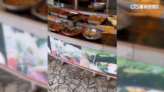 好吃到「鴿再來」？　高雄素食餐廳遭目擊鴿子啄食