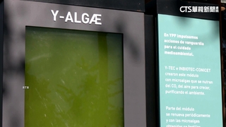 阿根廷首創「液態樹」　1年可吸碳半公噸