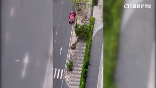 颱風摩羯登陸越南北部　威力仍強致4死78傷