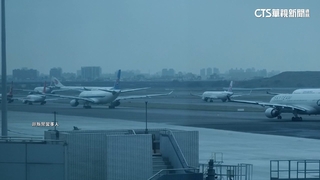 機票「超賣」被無預警降級座位　網紅蒼藍鴿轟傻眼