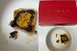 不二糕餅蛋黃酥遭爆「有半截蟑螂」 業者：完整包入大異物機率低