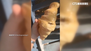 網購可頌造型燈爬滿螞蟻　買家一咬驚呼「真的」