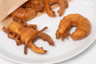 北市動物園21、22日辦「昆蟲嘉年華」　限量發送「雞母蟲」造型雞蛋糕